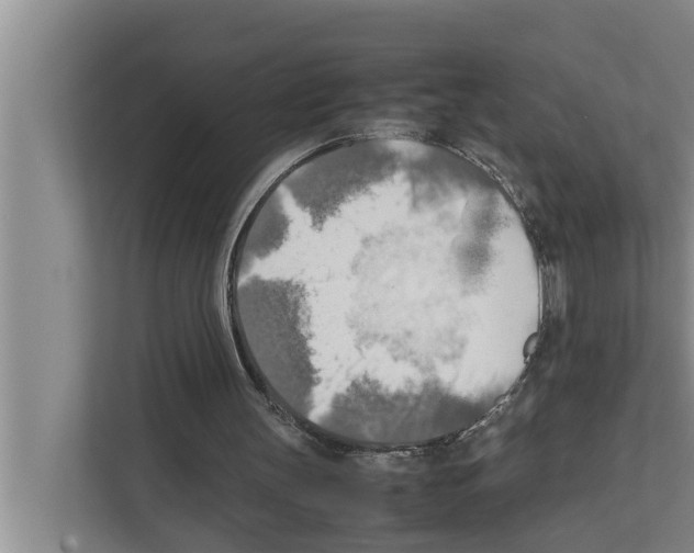 X0000111600147200908271016