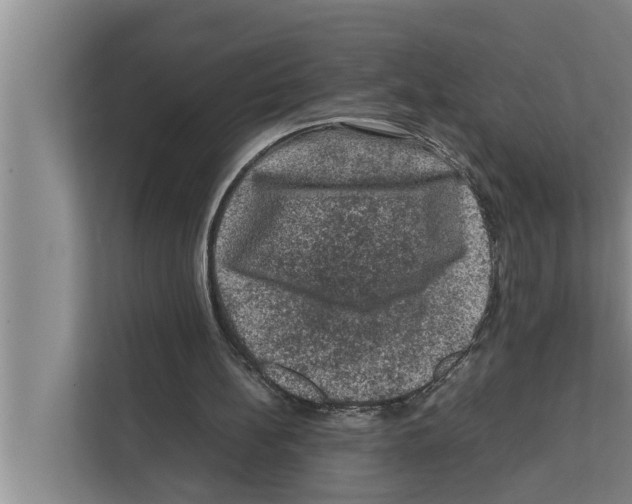 X0000111600148200908271016