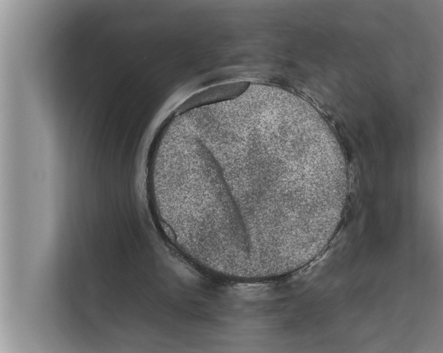 X0000111600150200908271016