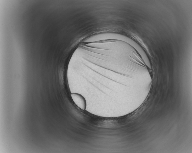X0000111600154200908271016