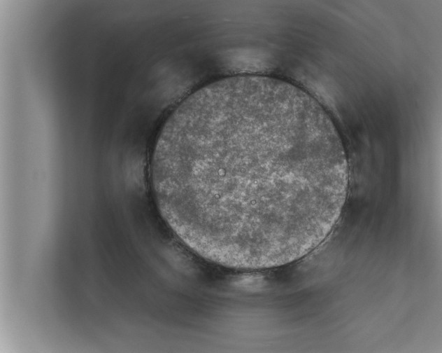 X0000111600162200908271016