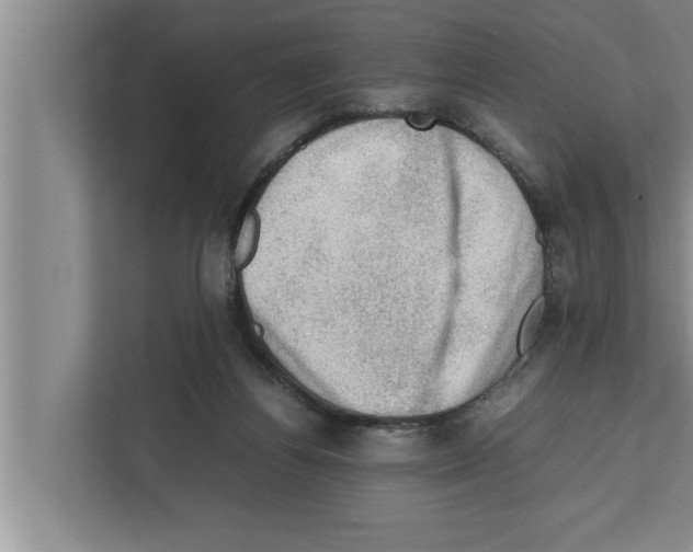 X0000111600164200908271016