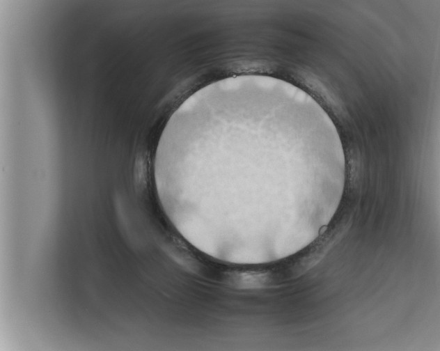 X0000111600165200908271016