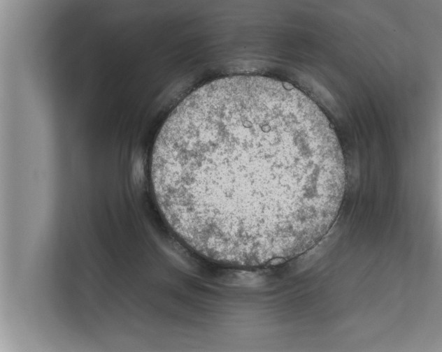 X0000111600166200908271016