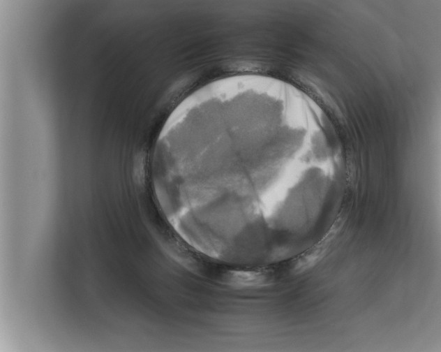 X0000111600167200908271016