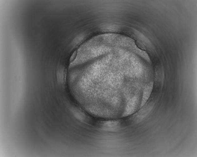 X0000111600168200908271016