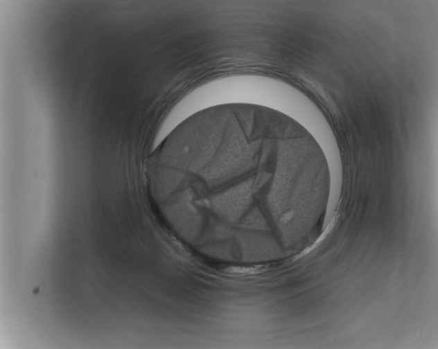 X0000111600170200908271016
