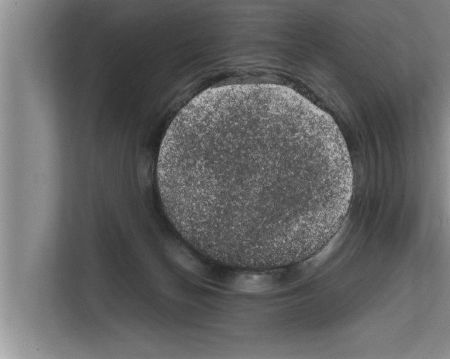 X0000111600174200908271016