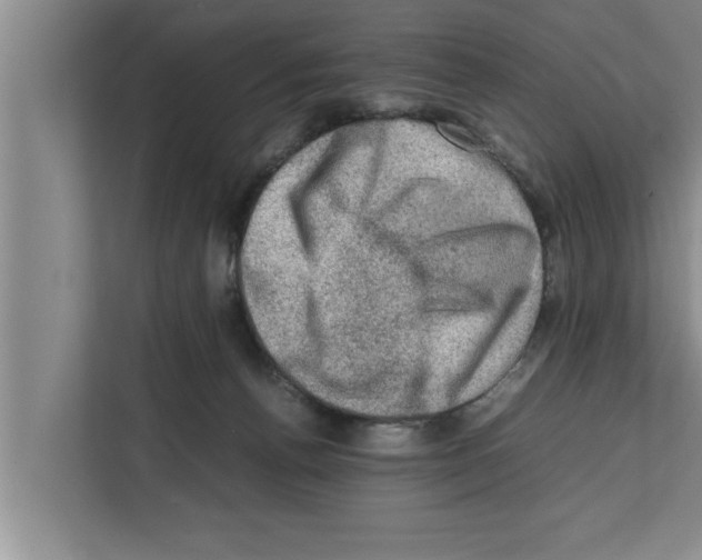 X0000111600176200908271016