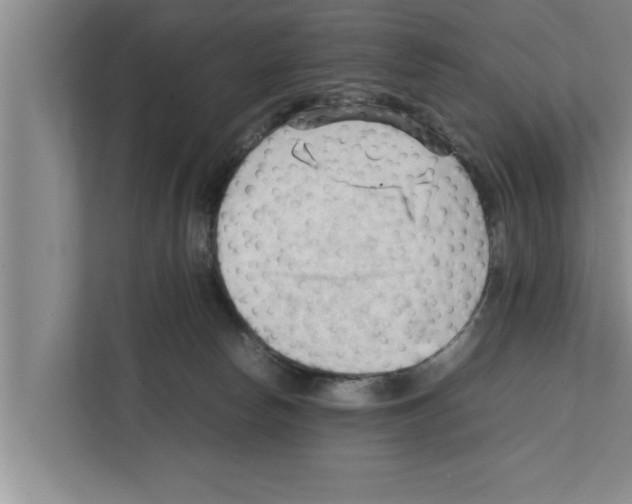X0000111600178200908271016