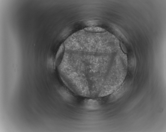 X0000111600180200908271016