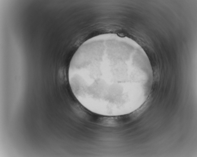 X0000111600182200908271016