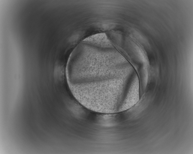 X0000111600184200908271016
