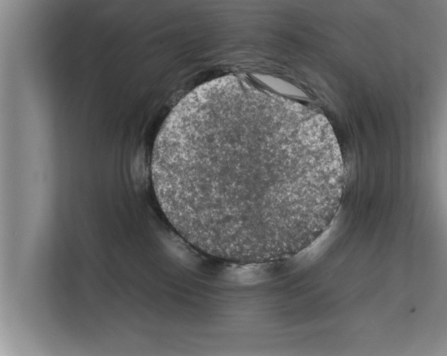 X0000111600186200908271016