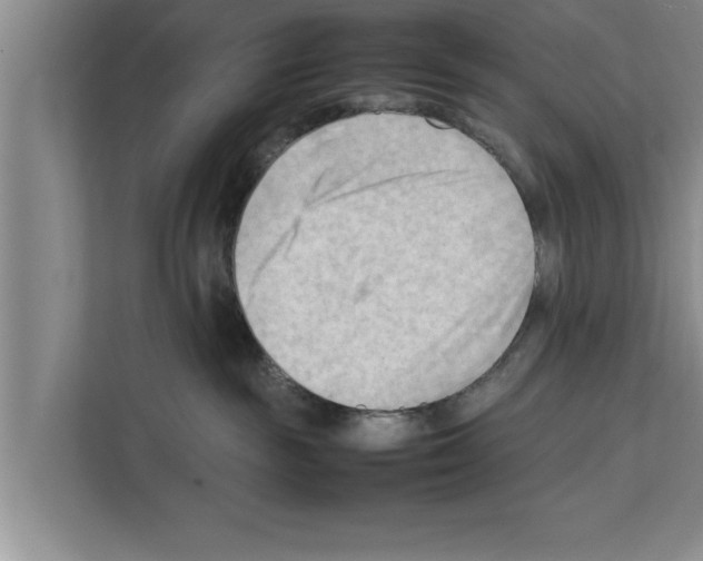 X0000111600189200908271016