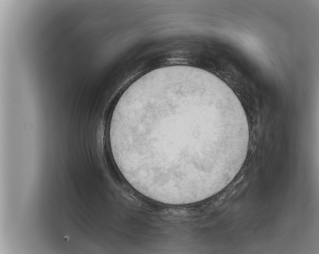 X0000111600194200908271016