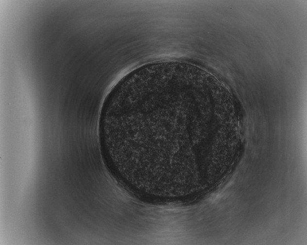 X0000111600196200908271016
