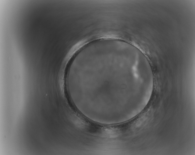 X0000111600199200908271016