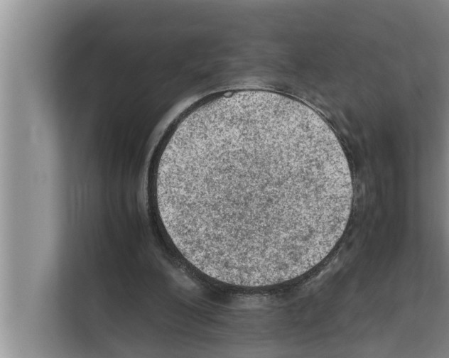 X0000111600200200908271016