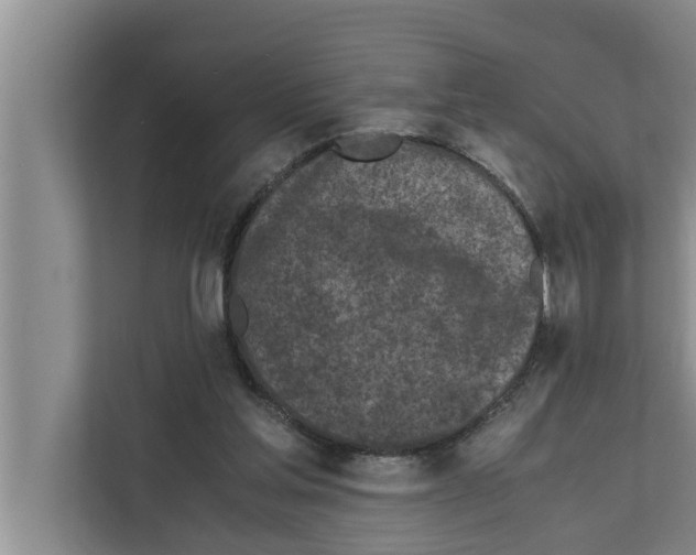 X0000111600205200908271015