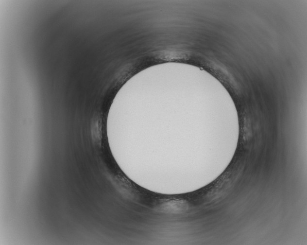 X0000111600210200908271015