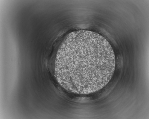 X0000111600212200908271015