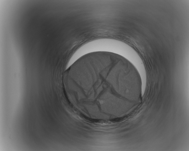X0000111600215200908271015
