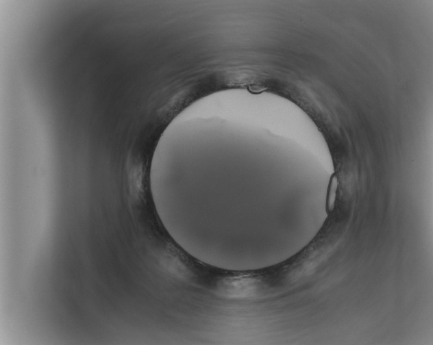 X0000111600219200908271015