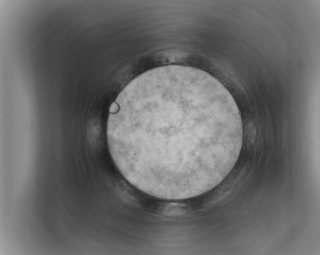 X0000111600222200908271015
