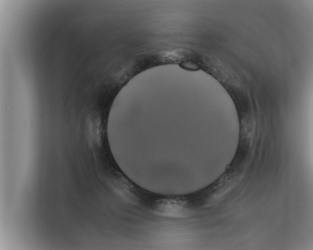 X0000111600223200908271015