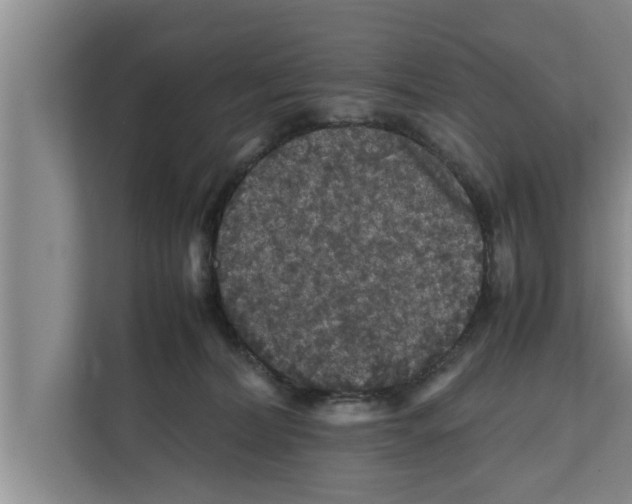 X0000111600228200908271015