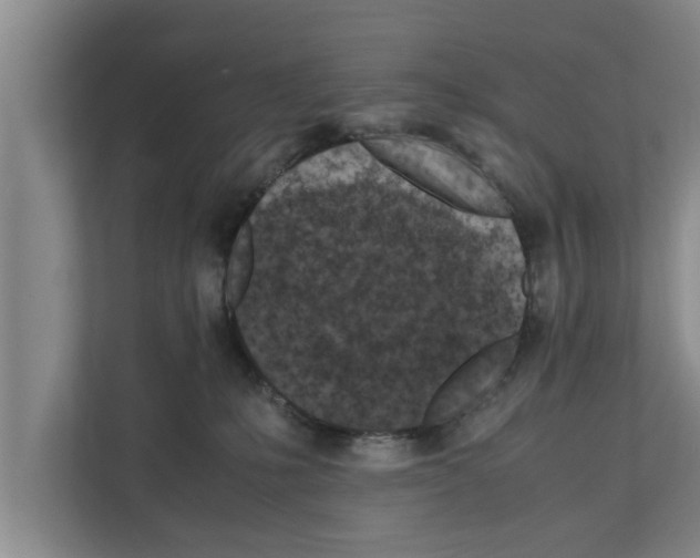 X0000111600231200908271015