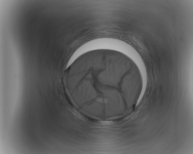 X0000111600233200908271015