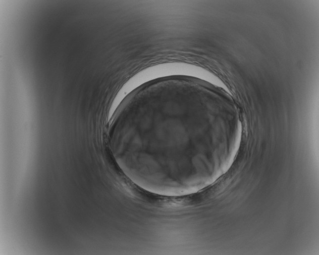 X0000111600235200908271015