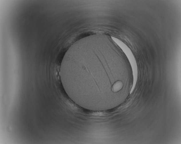 X0000111600237200908271015