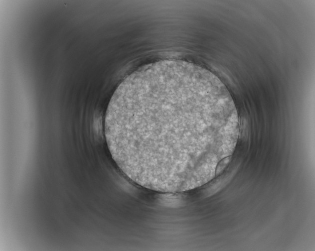 X0000111600238200908271015