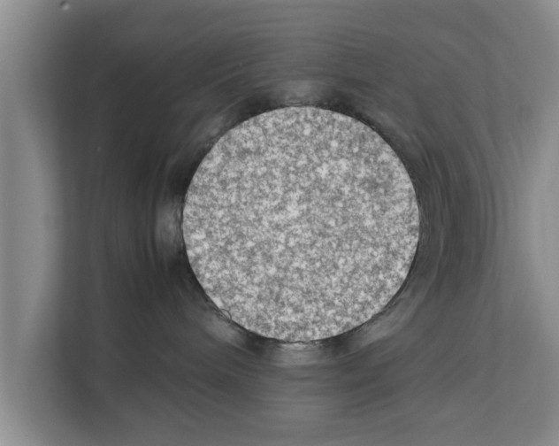X0000111600240200908271015