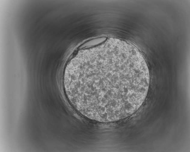 X0000111600241200908271014