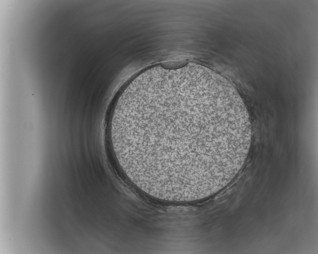 X0000111600242200908271014