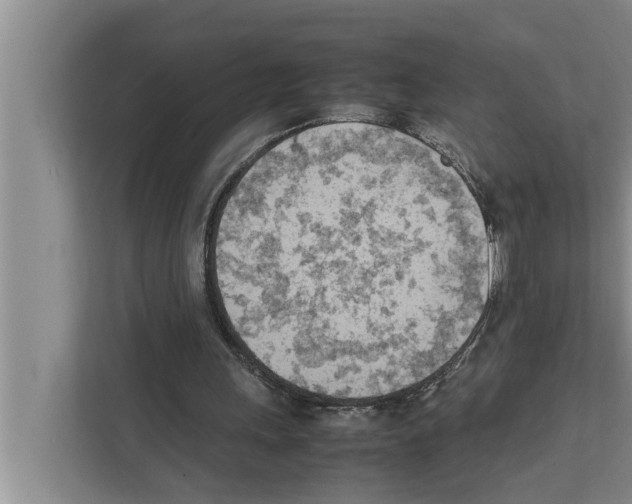 X0000111600243200908271014