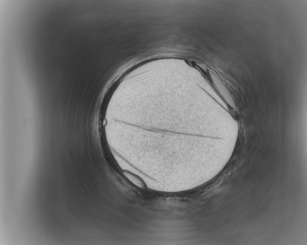 X0000111600244200908271014