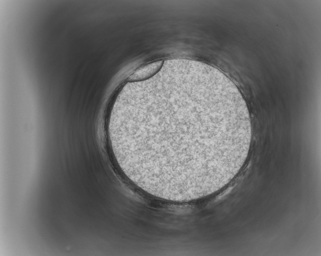 X0000111600245200908271014