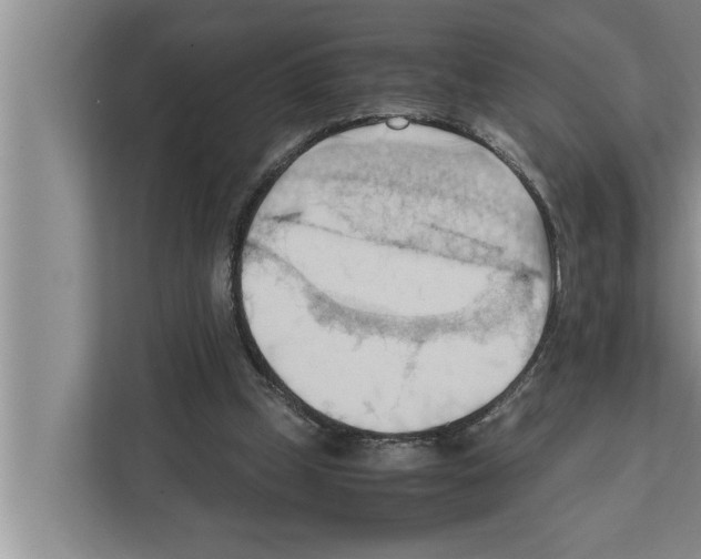X0000111600249200908271014
