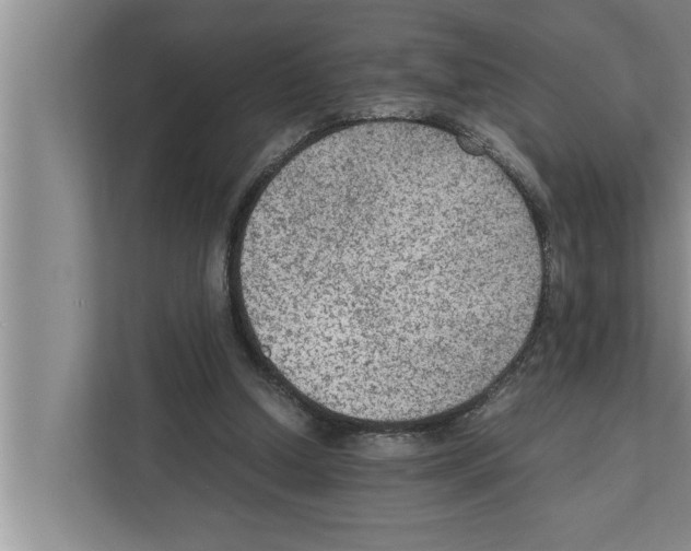 X0000111600250200908271014