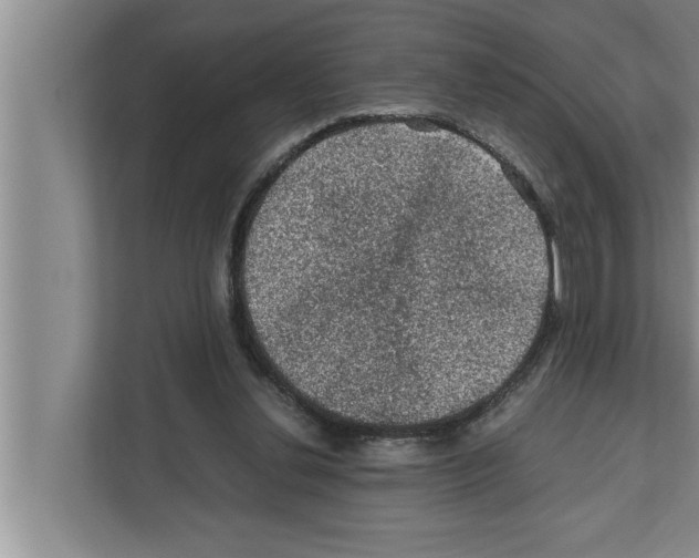 X0000111600252200908271014