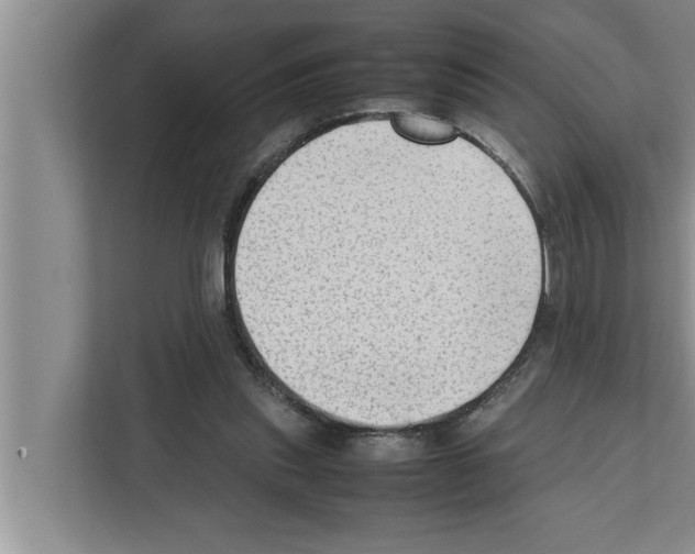 X0000111600253200908271014