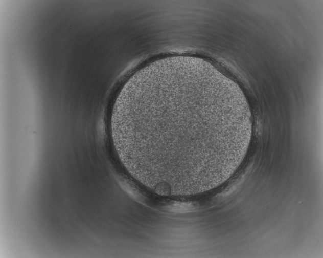 X0000111600256200908271014
