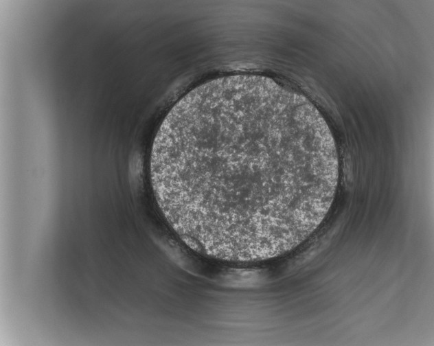 X0000111600260200908271014
