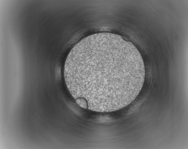 X0000111600262200908271014