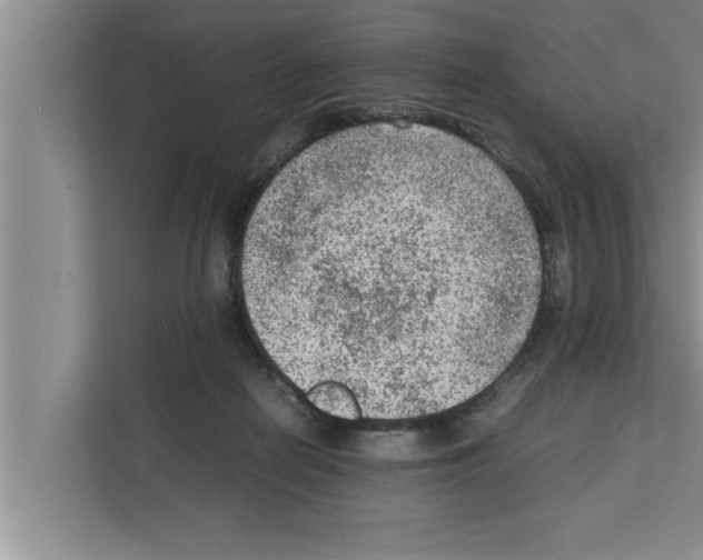 X0000111600266200908271015